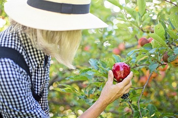 Warm Job Leads Your Low Hanging Fruit